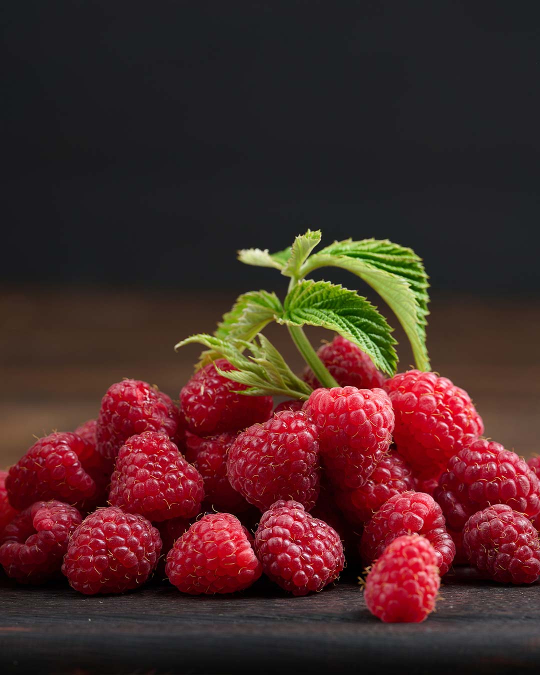 Purea di lamponi Darbo 450g
