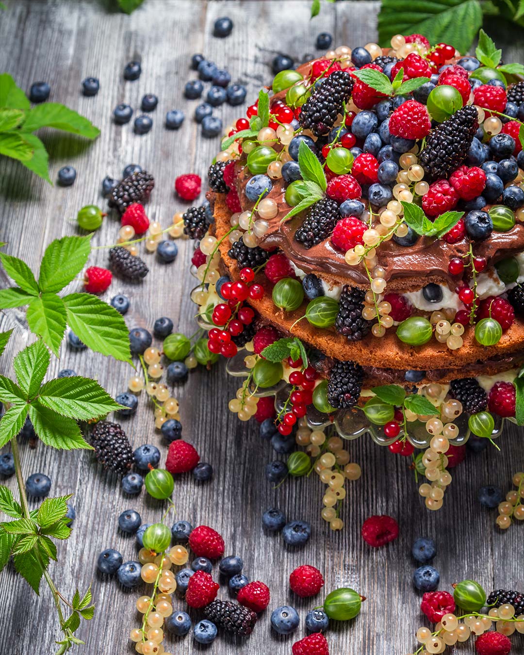 Darbo Frutti di bosco 450g